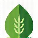 Icon of a leaf and a gluten-free symbol.