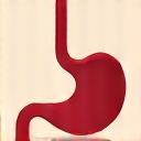 Icon representing stomach and gut health